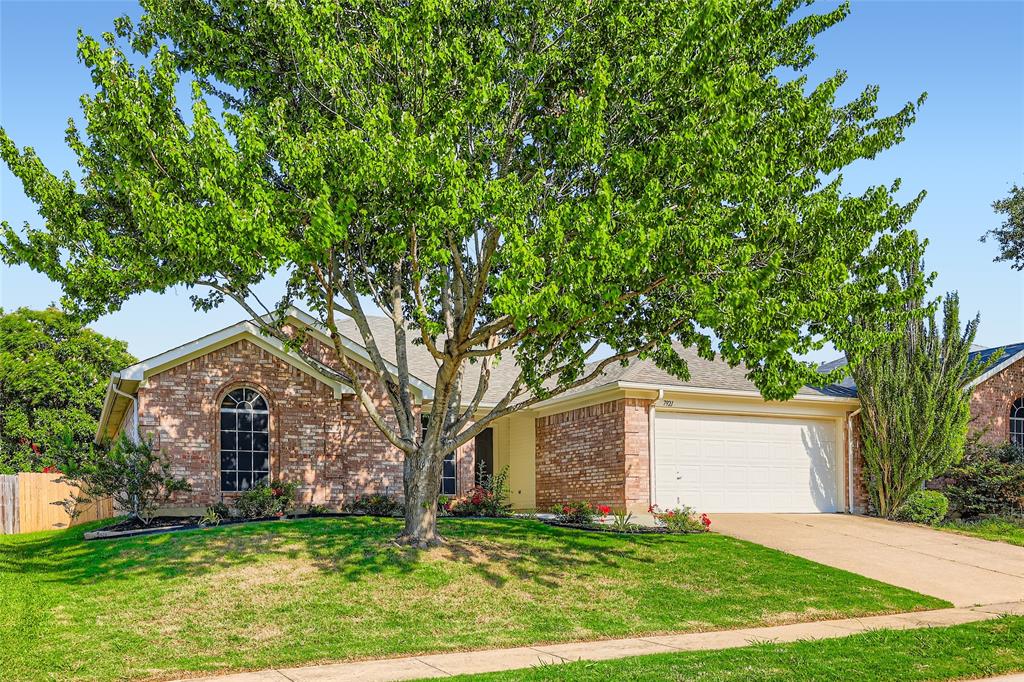 7921 Mourning Dove Drive