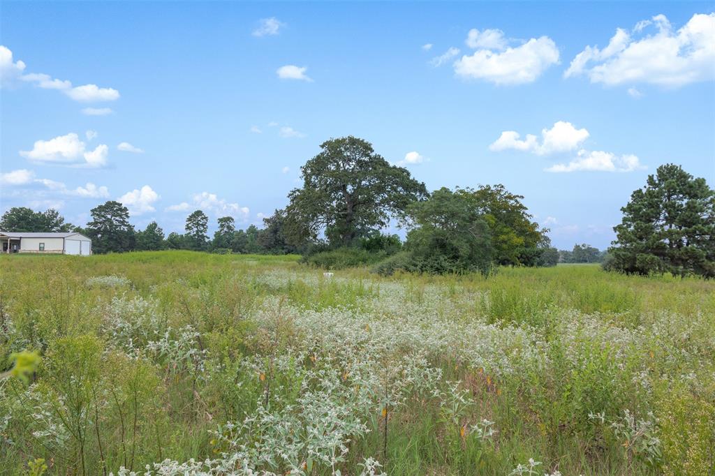 THREE LAKES RANCH - Land