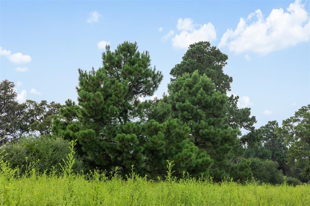 THREE LAKES RANCH - Land