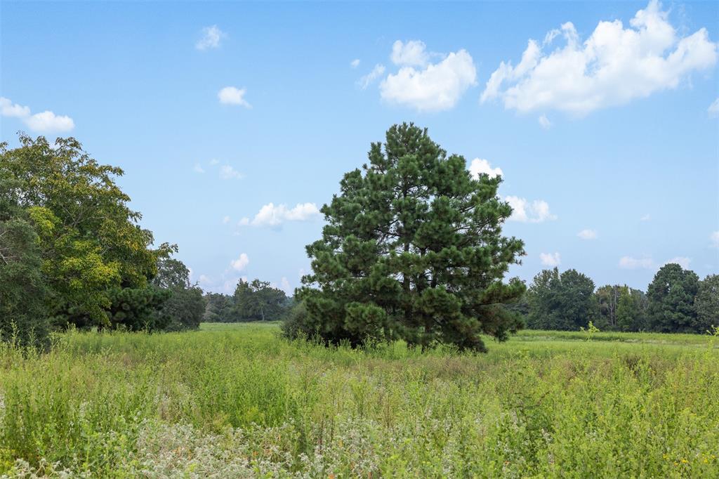 THREE LAKES RANCH - Land