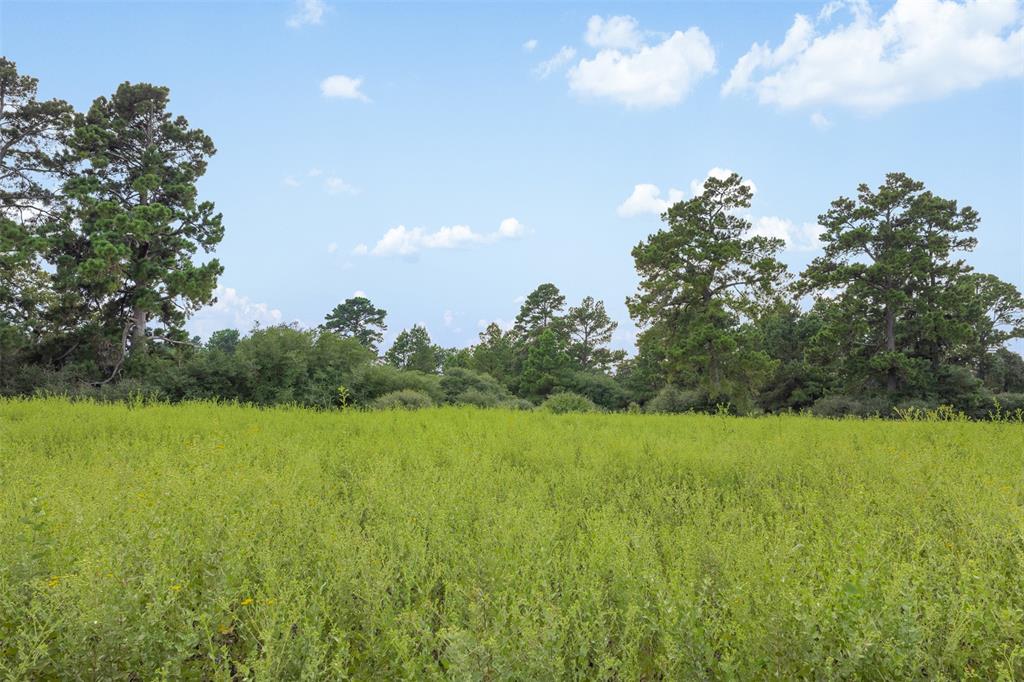 THREE LAKES RANCH - Land