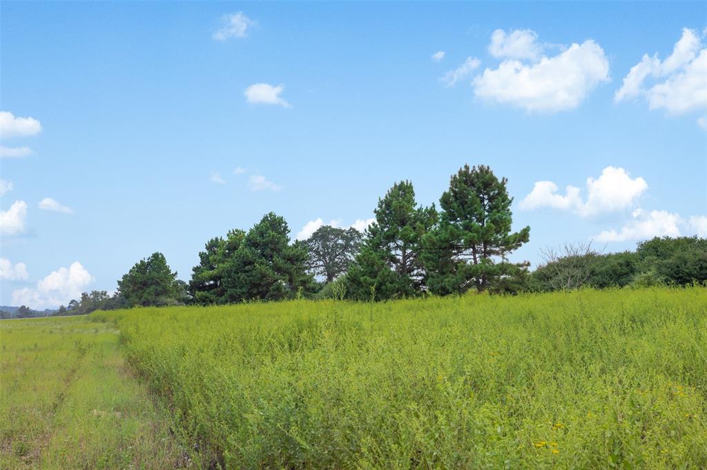 THREE LAKES RANCH - Land