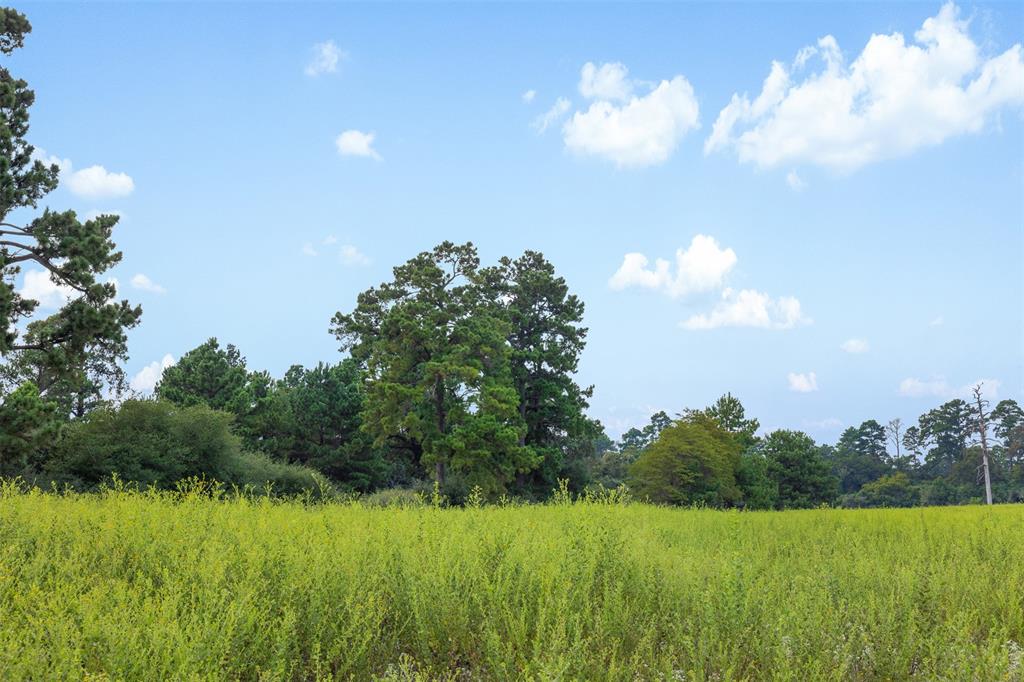 THREE LAKES RANCH - Land