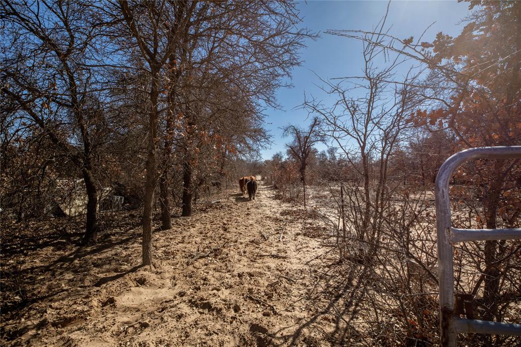 T&P Rr Co Lands Sec 6 Abs 1942 - Farm