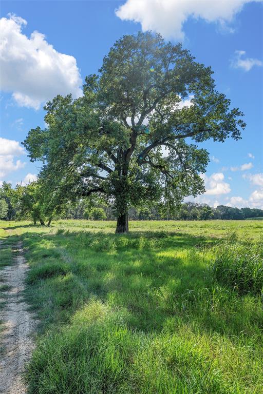KEYS ON THE BRAZOS - Land