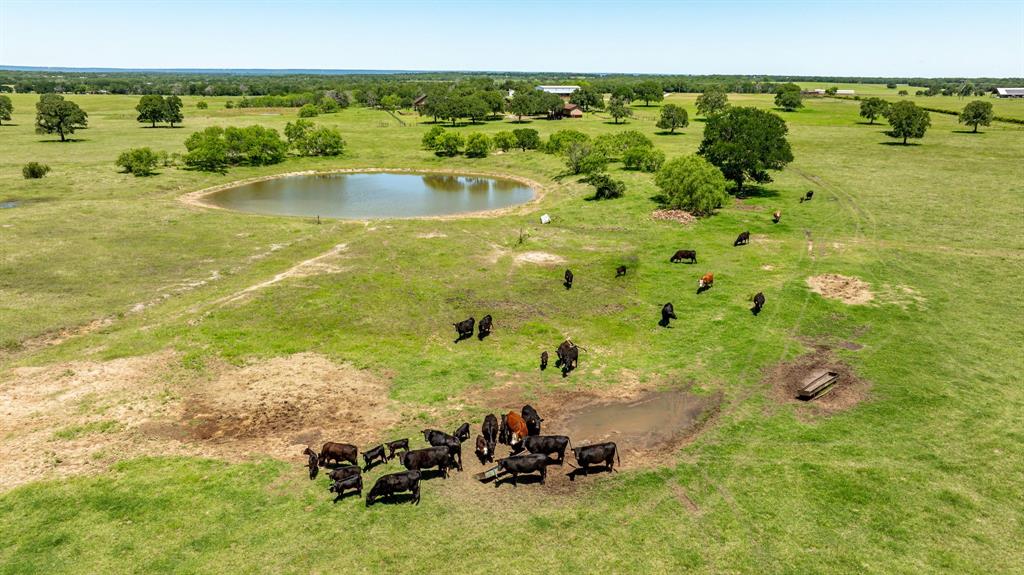 GW TREIGHEN Abs #431 - Farm