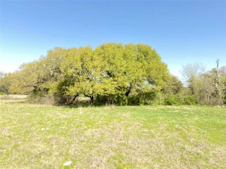 Selling 10 acres of unimproved land ready for your own dreams.  This property is currently AG-EXEMPT.