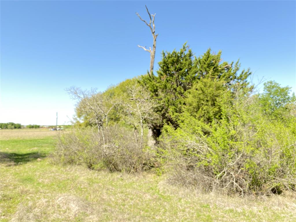 Js Amos Surv Abs #2 - Land