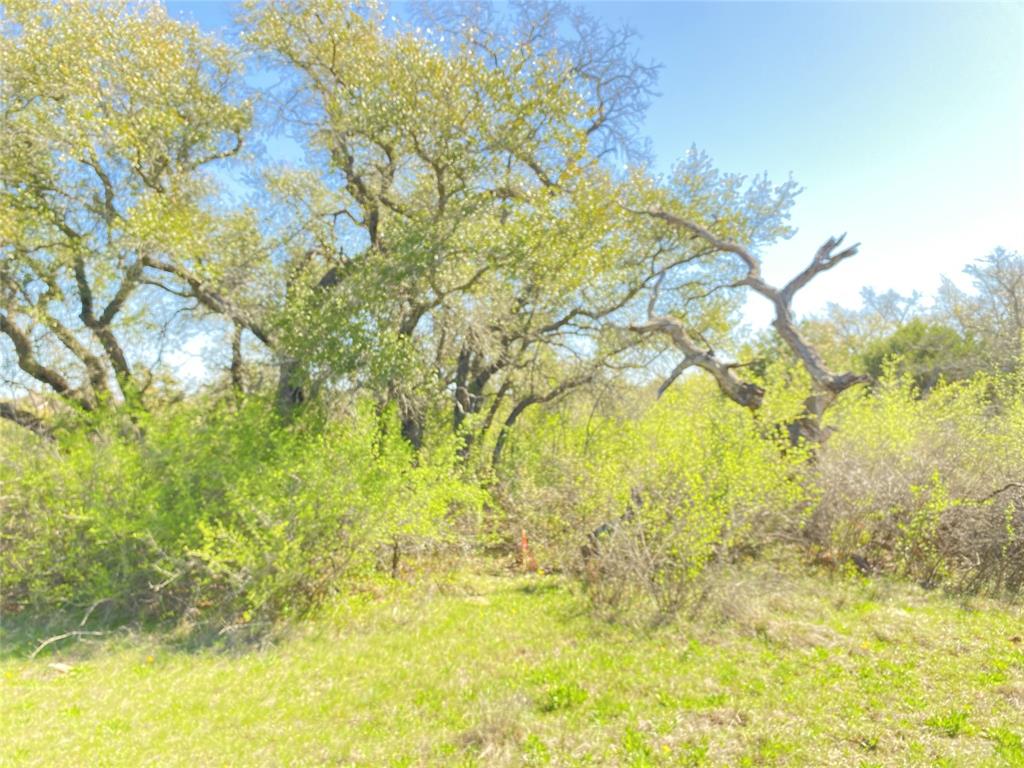 Js Amos Surv Abs #2 - Land