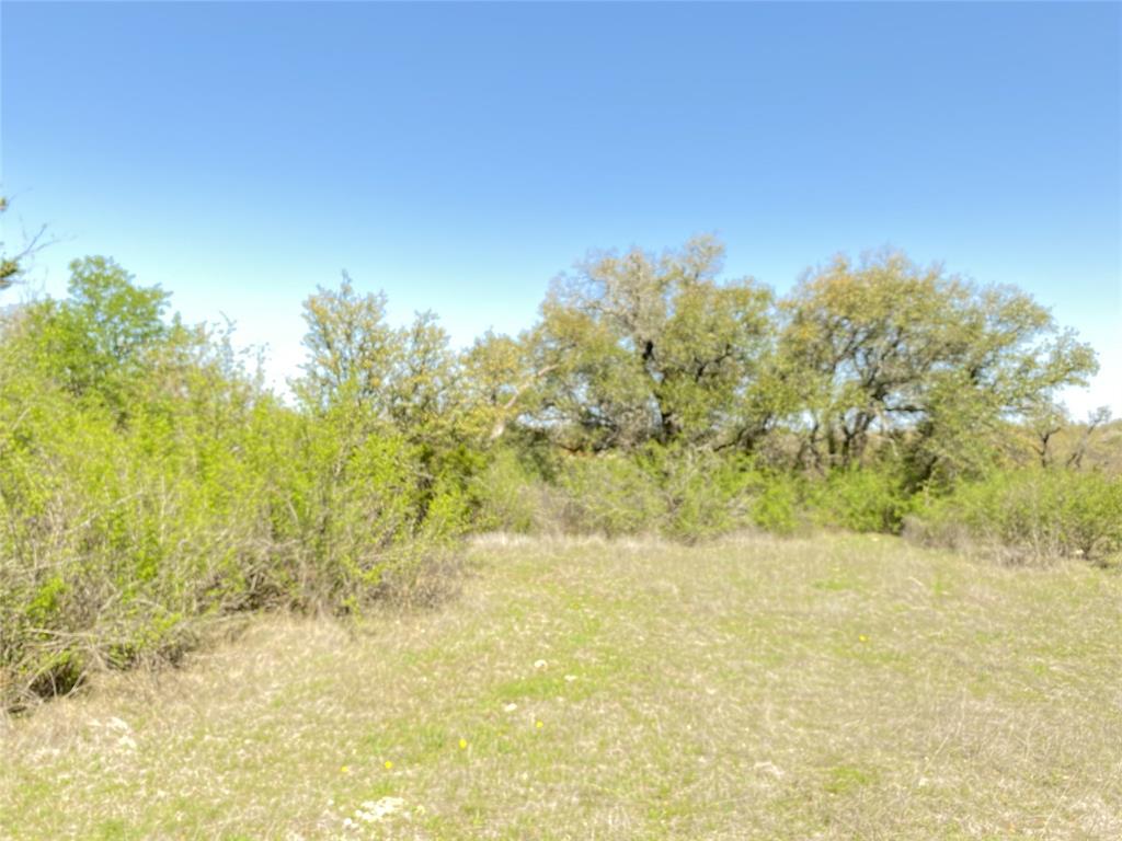 Js Amos Surv Abs #2 - Land