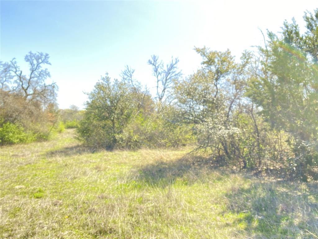 Js Amos Surv Abs #2 - Land