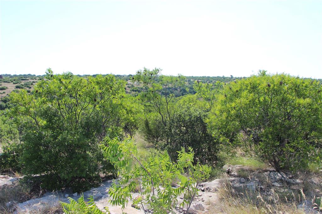 163 Baltrusol Drive