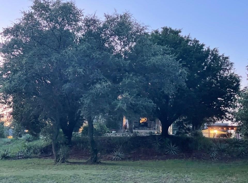 Carters - Residential