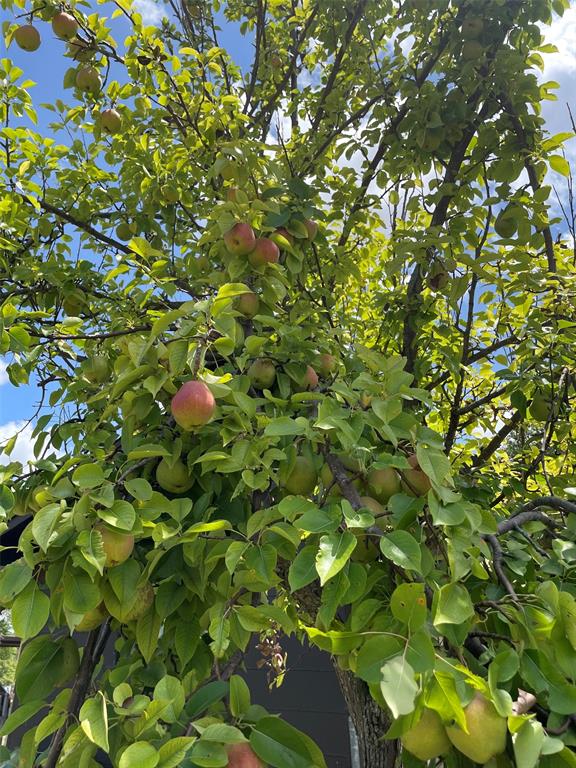 Carters - Residential