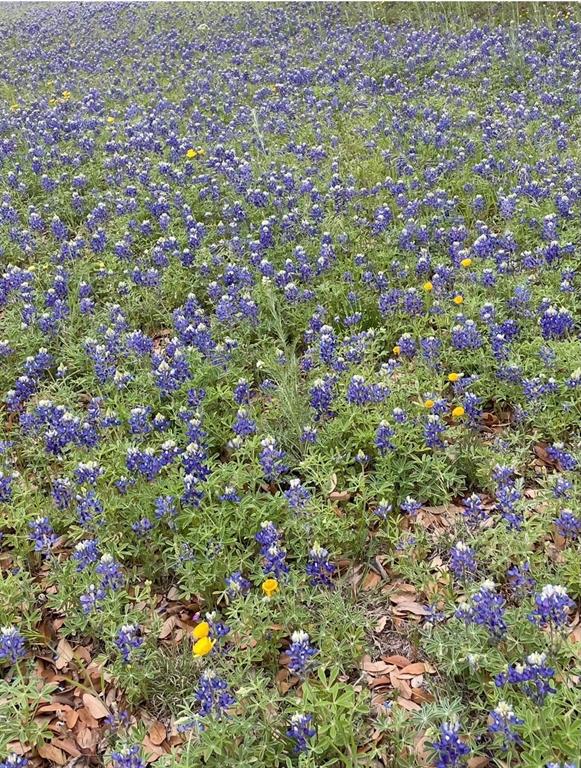 Carters - Residential