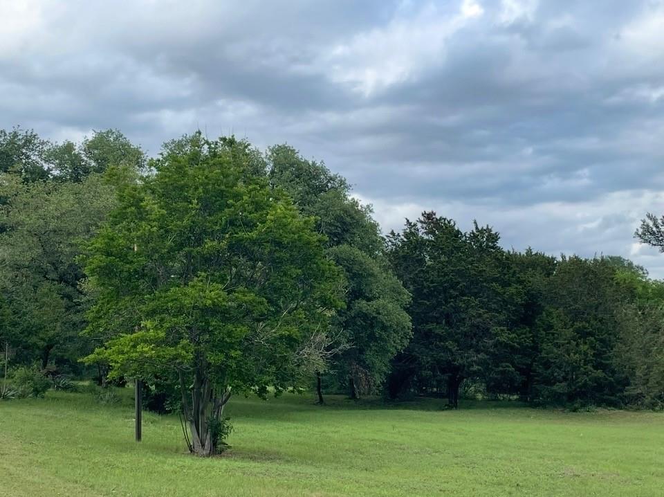 Carters - Residential