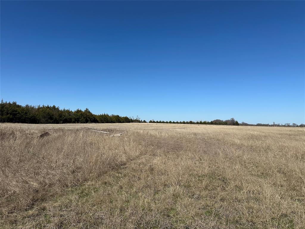 Rasmussen Place - Land