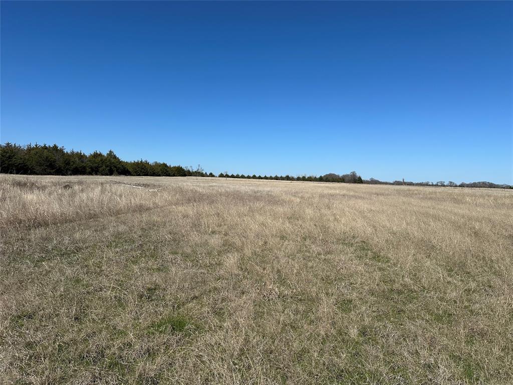 Rasmussen Place - Land