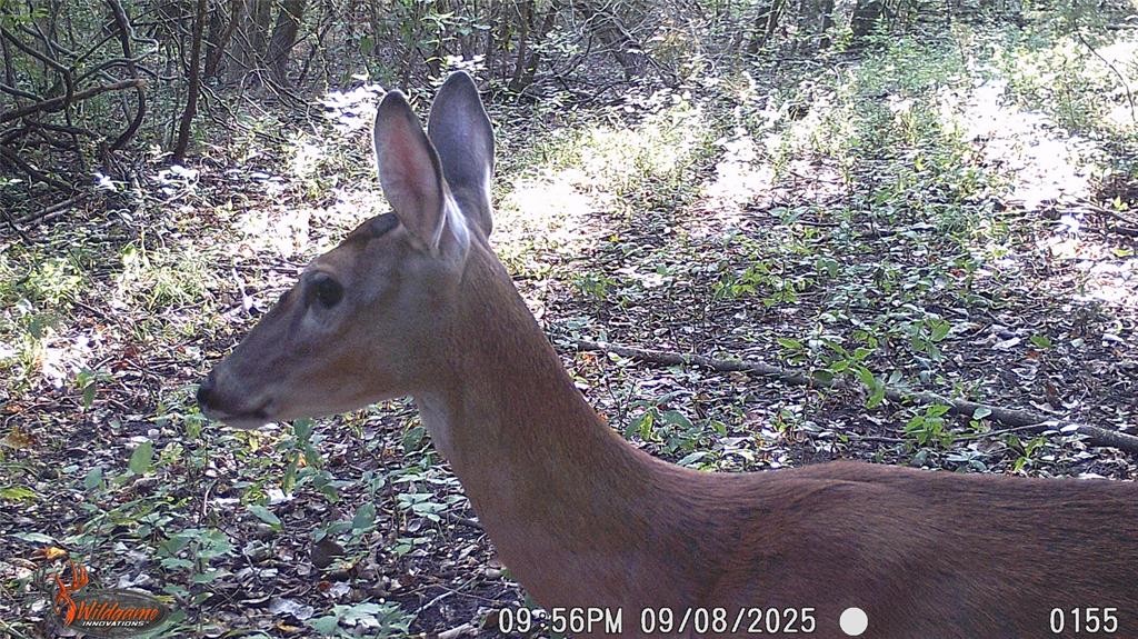 Mark Roberts Survey - Land