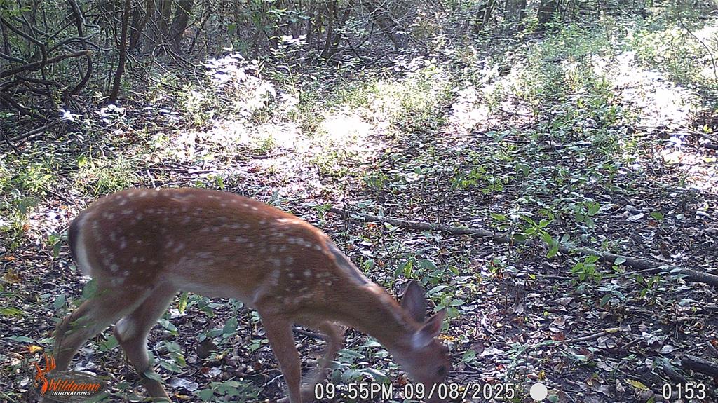 Mark Roberts Survey - Land