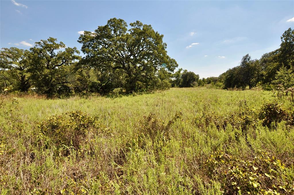 TBA Old Brock Road