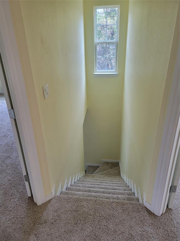 Magnolia - Residential Lease