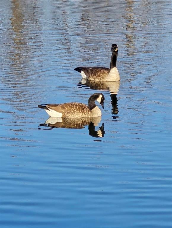 Seventeen Lakes Add - Residential