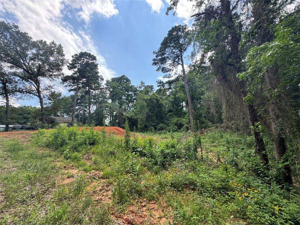 Clear Lakes Zone 2 - Land