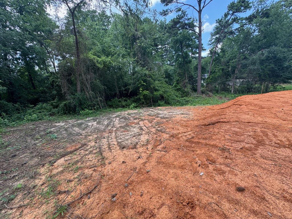 Clear Lakes Zone 2 - Land