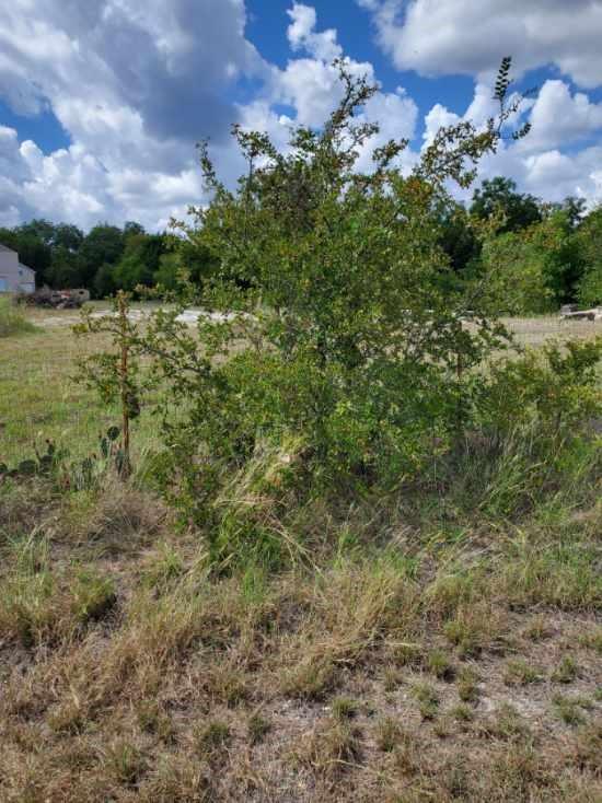 1260 Horseshoe Trail