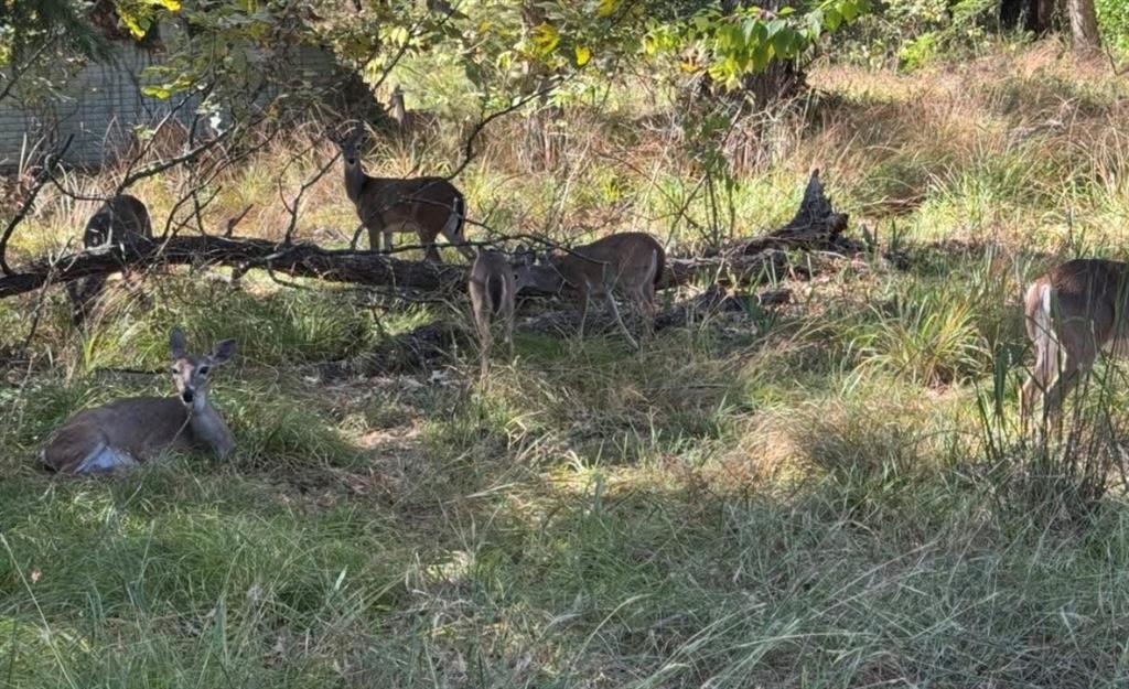 Arrowhead Add 1st Instl - Residential