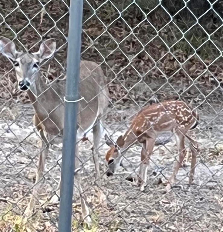 Arrowhead Add 1st Instl - Residential