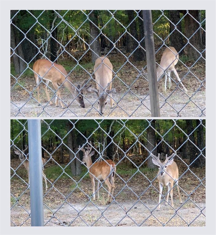 Arrowhead Add 1st Instl - Residential