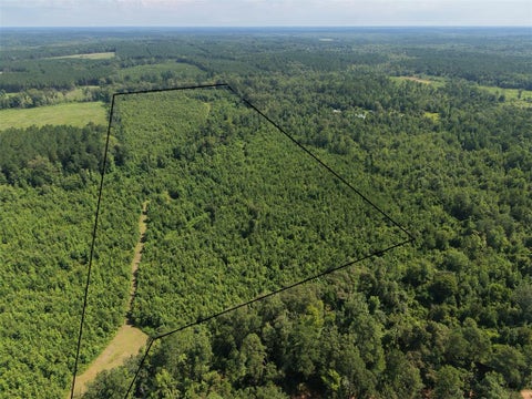 Photo of 0000 County road 2339, Marietta, TX 75566 (MLS # 21331458)