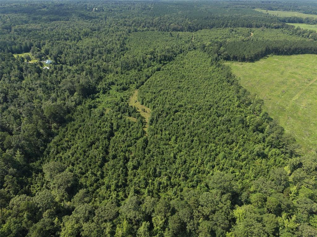0000 County road 2339