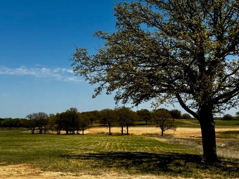 Stonebridge Sub - Land