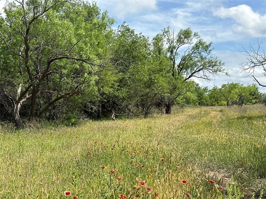 Just 20 min from Abilene, this 29.3 ac parcel of land offers a serene escape into nature's embrace & tranquil beauty of the Texas landscape. Upon arrival, one is greeted by the gentle rustle of mesquite trees, providing shade, tranquility & offering a picturesque setting for various recreational activities & relaxation as well as cover for wildlife. A defining feature of the land is the pond, adding functionality. With its ample size & capacity to hold good runoff water, this pond presents an opportunity for not only scenic enjoyment but also practical use. Boasting abundant wildlife, making it a paradise for outdoor enthusiasts. Deer, turkey, quail, ducks, & dove roam freely. The convenience of water & electricity availability further enhance the appeal of this land, making it an ideal canvas for realizing various visions & dreams. Whether you desire to build your dream home, have weekend getaway, or cultivate the land for ag purposes, this is the place! Additional acreage available.