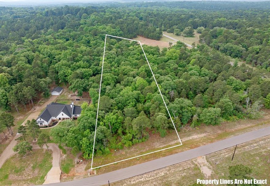 Tucked behind the gates of Legacy Shores on the shores of Lake Palestine, this exceptional 2.62-acre homesite offers a rare opportunity to own a private retreat in one of East Texas’ most serene waterfront communities. Located on the peaceful waters of Flat Cove, this secluded, gated neighborhood features just 91 homesites, creating a quiet, low-density setting surrounded by nature. The property is beautifully wooded with a towering mix of hardwoods and pines, providing both privacy and a picturesque backdrop for your future custom home. Wildlife is abundant, with deer, foxes, rabbits, and a variety of waterfowl frequently seen throughout the area. Herons, freshwater pelicans, and even bald eagles are known to inhabit this stretch of the lake, offering a truly special connection to the outdoors. Flat Cove is well regarded for its deep, calm waters & ideal for bass fishing, kayaking, canoeing, and recreational boating. Lake Palestine is a 25,000-acre lake known for hosting largemouth bass tournaments and delivering excellent year-round fishing. This lot includes access to a designated undeveloped boat slip area, making lake days effortless. Community features include paved roads, gated entry, community water, electricity, and broadband availability. Conveniently located just minutes from Chandler, Tyler, and Frankston, and approximately 1.5 hours from Dallas, this property offers the perfect balance of accessibility and seclusion. Whether you envision a weekend escape, or a full-time residence, this is a place where nature, water, and privacy come together in effortless harmony.
ADDITIONAL PICTURES