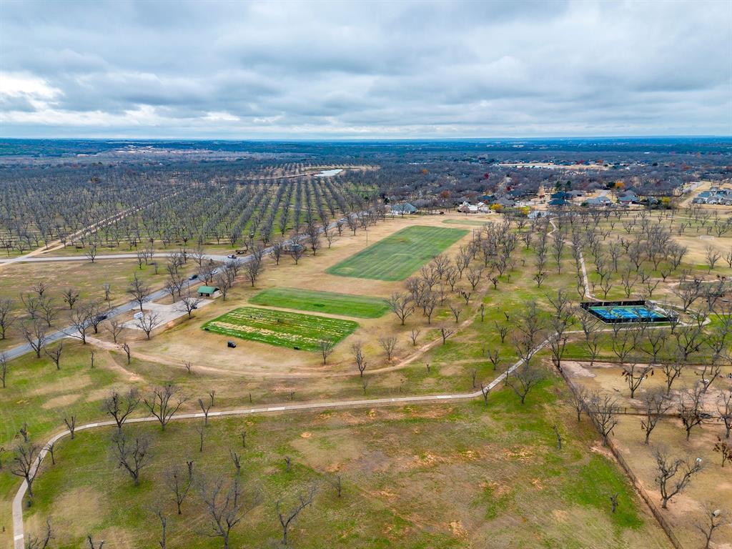 Pecan Plantation - Land