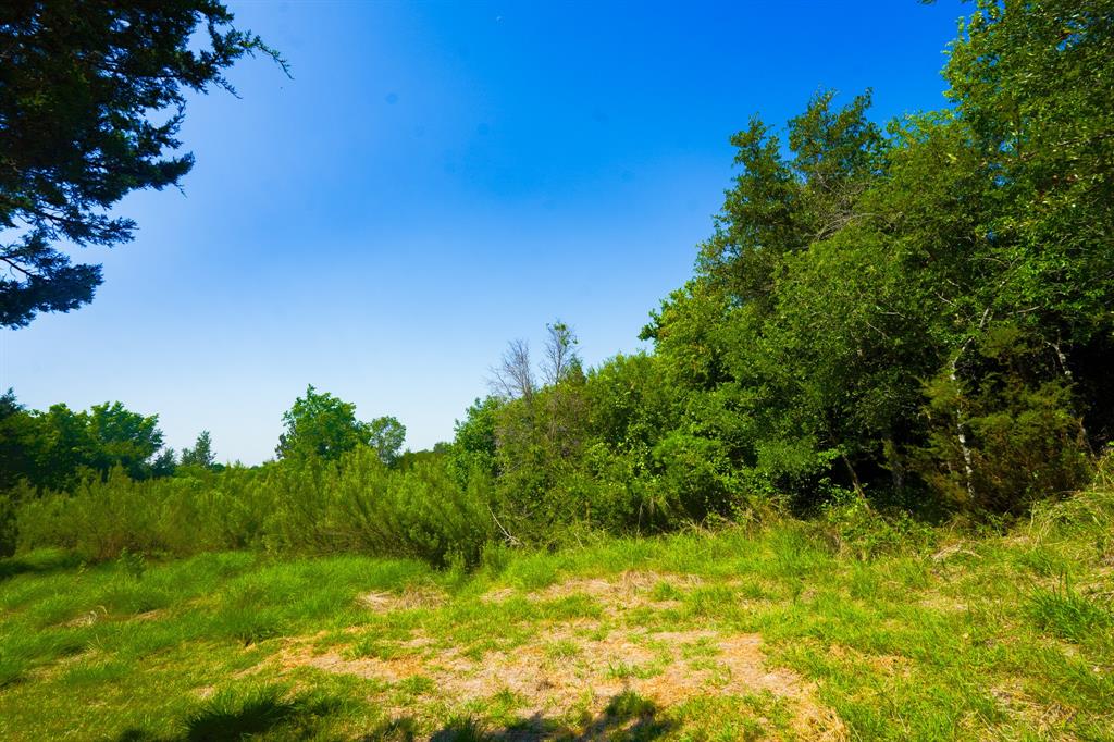 159 WHISPERING OAKS JENKINS SPRINGS - Residential