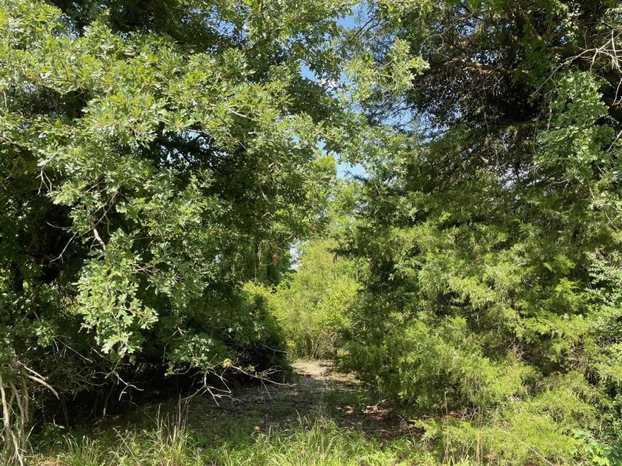 This wooded lot on Lake Limestone is ideal for relaxation and recreation.  The property is perfect for a weekend getaway or your dream lakefront retreat.  This property offers direct access to one of Texas's best-kept secrets for fishing and boating.  Whether you're casting a line, cruising the water, or just enjoying the peaceful surroundings of nature, this lot is the perfect place to unwind and reconnect with nature.  Lake Limestone is only a few hours from Dallas, Houston, Austin, and San Antonio.