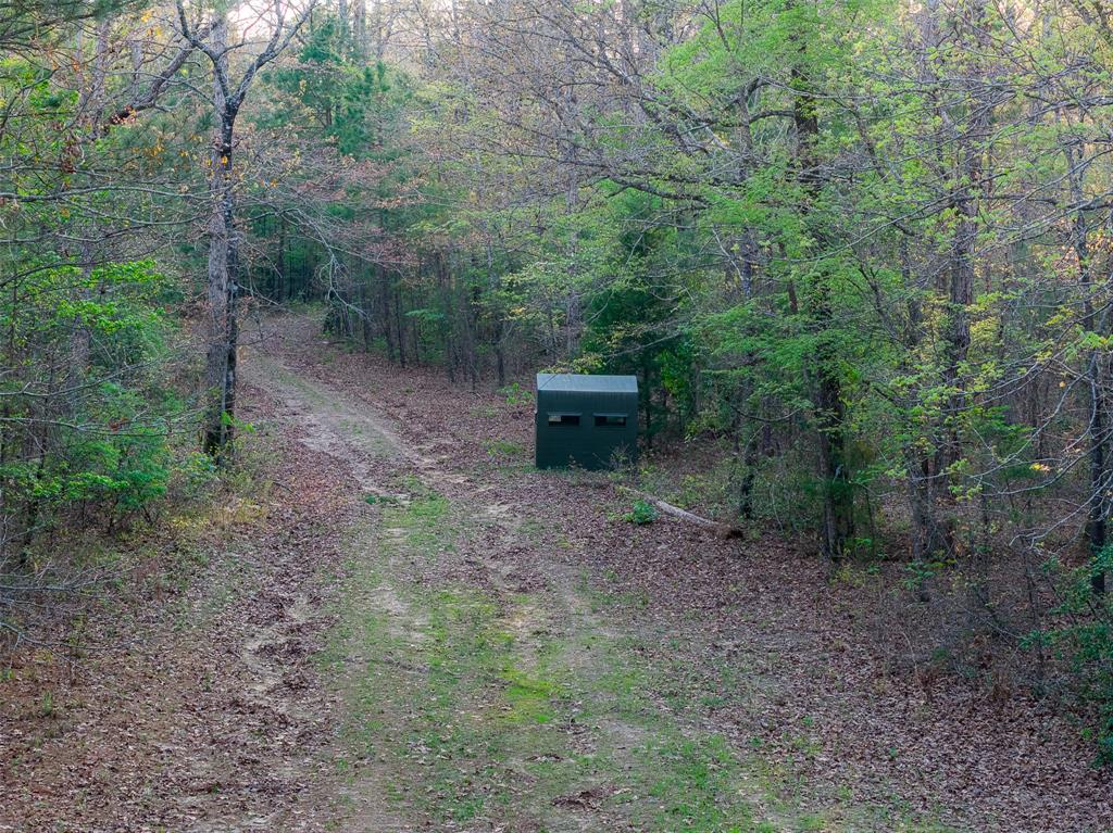 Photo 1 of 39 — 923 W Main St, Ore City, TX 75683