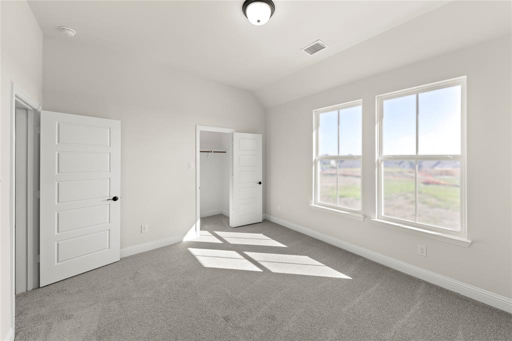 Painted Tree Showcase - Residential