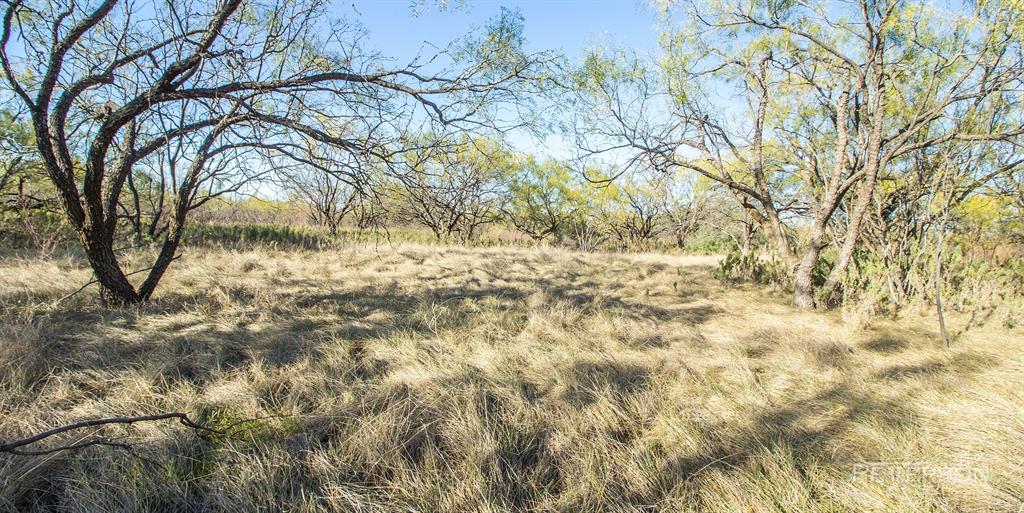 SC FERRELL,ANDERSON,THOMPSON(DYESS AREA) - Farm