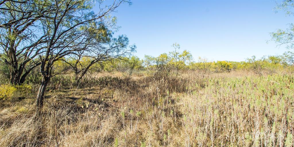 SC FERRELL,ANDERSON,THOMPSON(DYESS AREA) - Farm