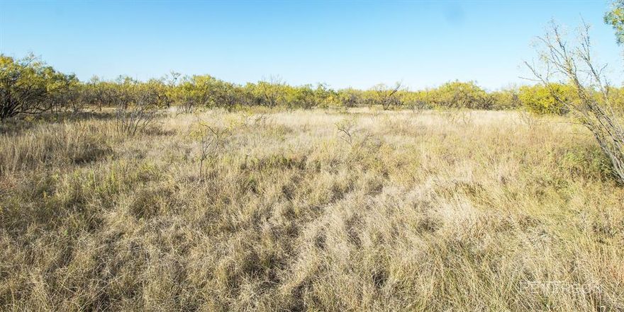 Located just inside the Abilene city limits, this 20 acre property is comprised of sprawling pasture established with good cover and native grasses. Tucked just out of the way on a dead end road, you genuinely get the best of both worlds; convenient access to shopping in town with all the amenities and accommodations of being inside the city limits, without having to miss out on the calm country atmosphere. Great place to build your dream home with space to spread out. The topography would allow water detention improvements for a stock tank and even has potential for further development pending consideration from Planning and Zoning.