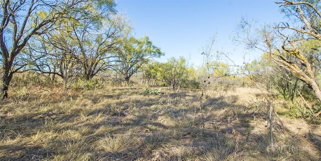 SC FERRELL,ANDERSON,THOMPSON(DYESS AREA) - Farm