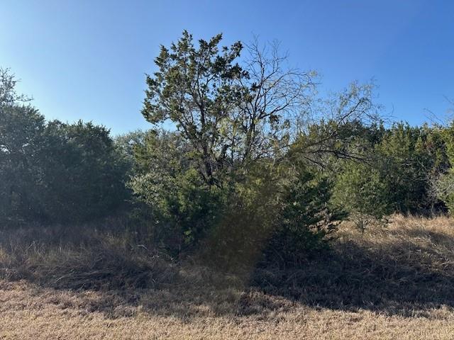 White Bluff #44 - Land