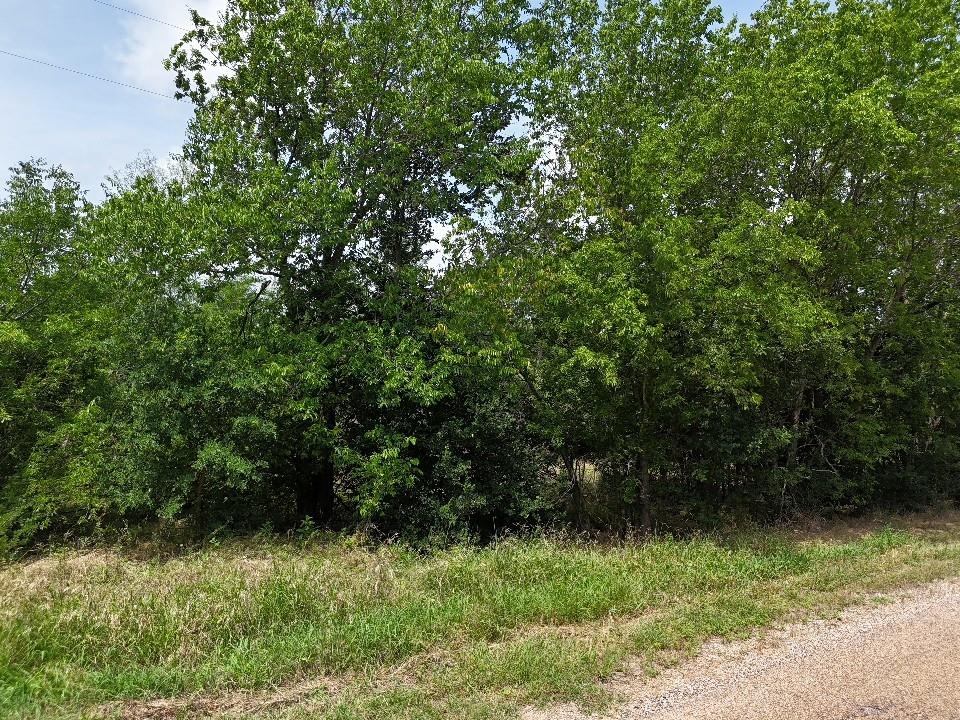 Circle T Ranch - Land