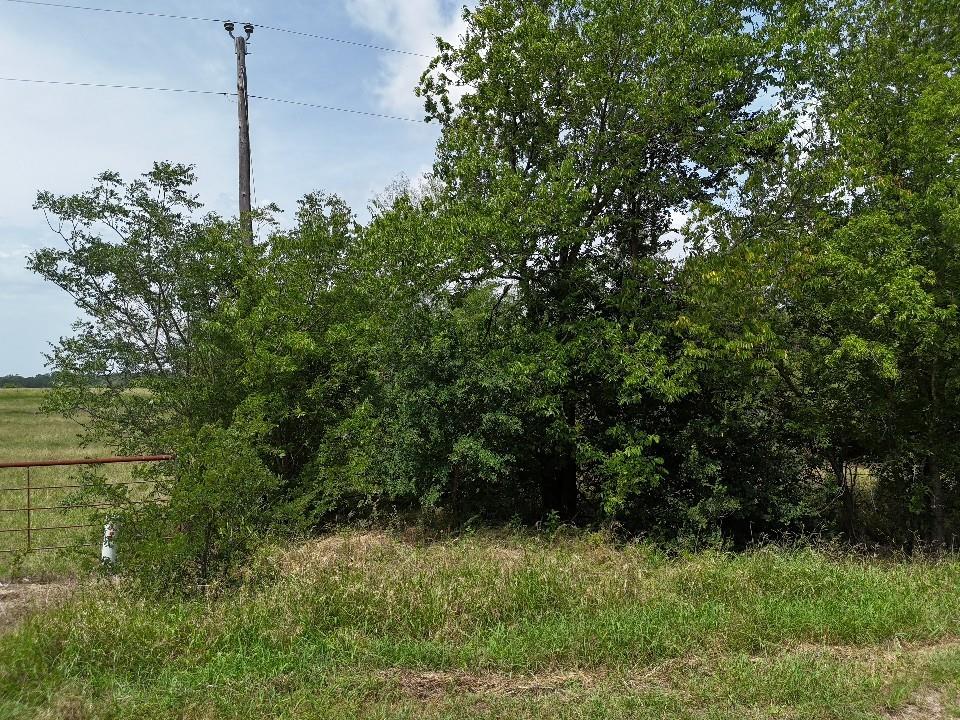 Circle T Ranch - Land